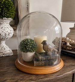 Large Glass Cloche Display Dome with Solid Wood Base | Farmhouse Decor