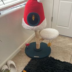 Brand new cat tree right now