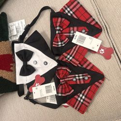 Pet Bandana