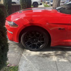 Mustang Oem 19” Rims
