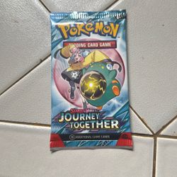 Pokémon Journey Together 