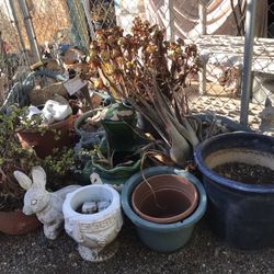 Yard Decorations Rocks Sculptures And More