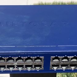 NETGEAR prosafe 24 Port