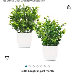 Fake Plants