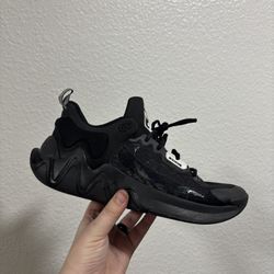 Nike Giannis Black Shoes