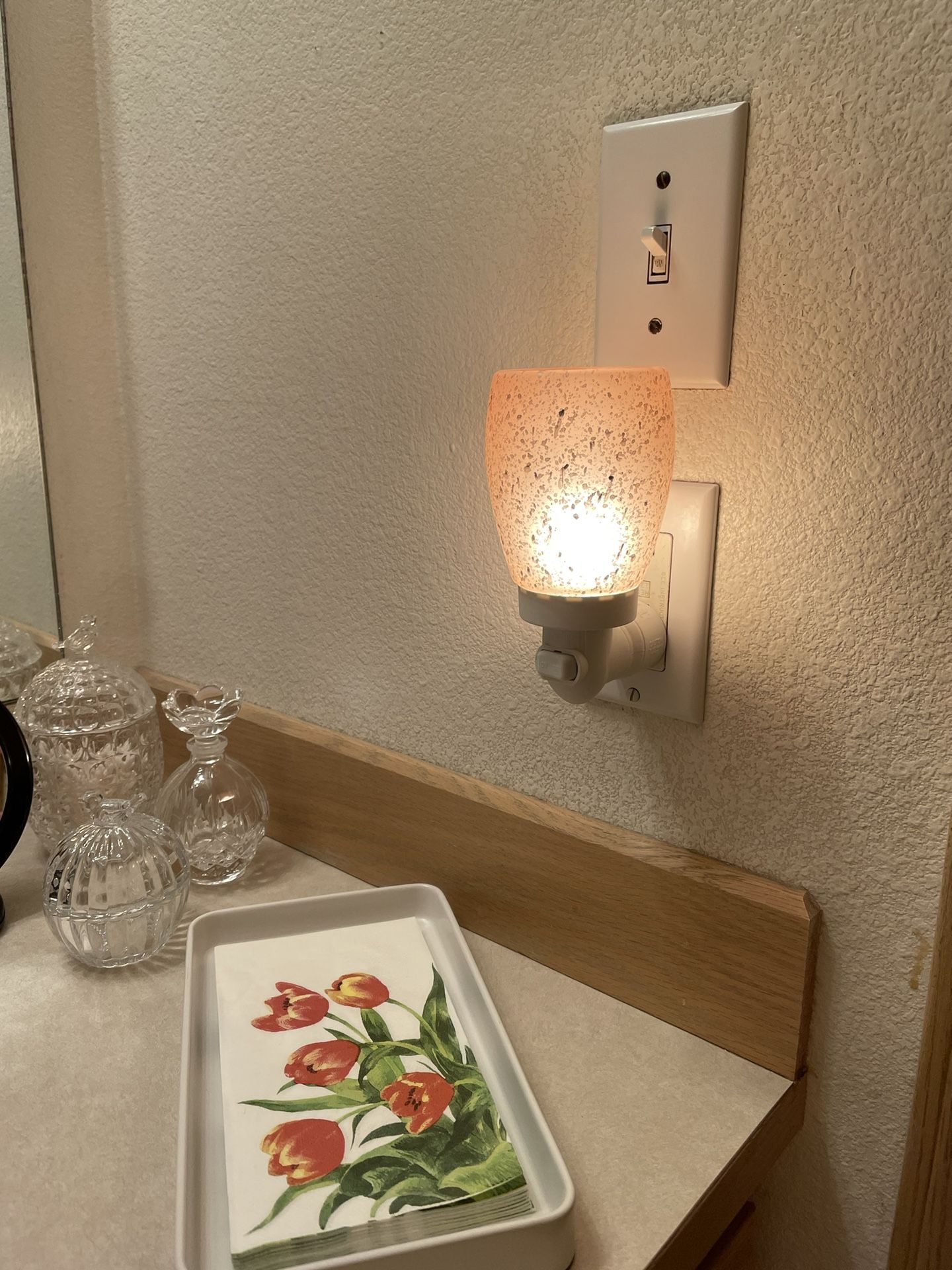 Scentsy Warmer