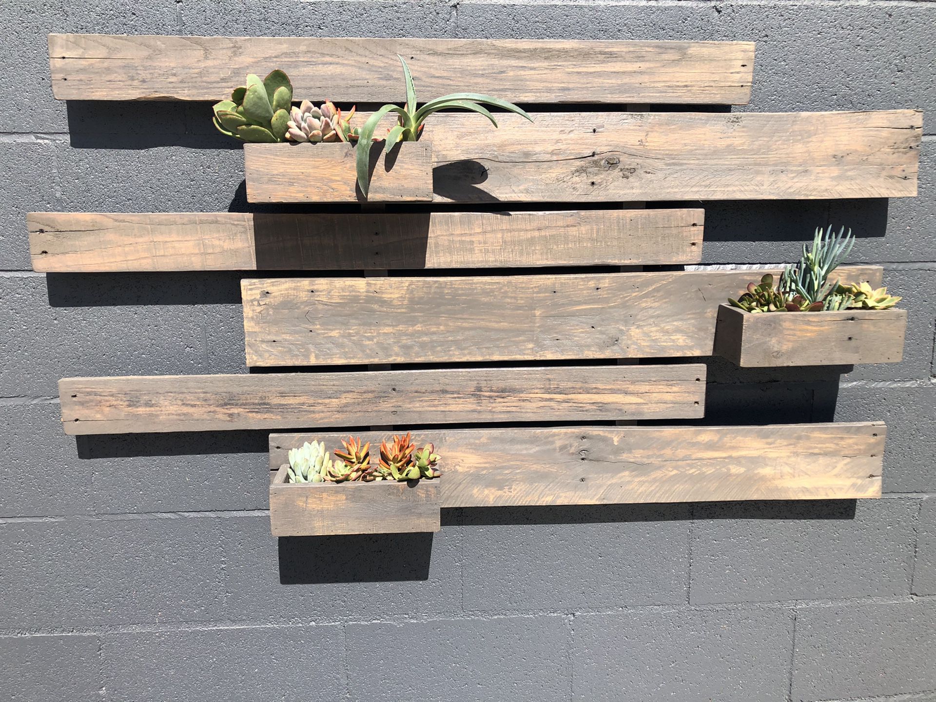 Wood Succulent Wall Planter