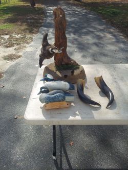 2 duck decors. One duck mount. 2 horns. Everything you see $50.