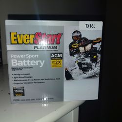 BRAND NEW MOTORCYCLE A T V BATTERY EVER START PLATINUM, AMG TX16L