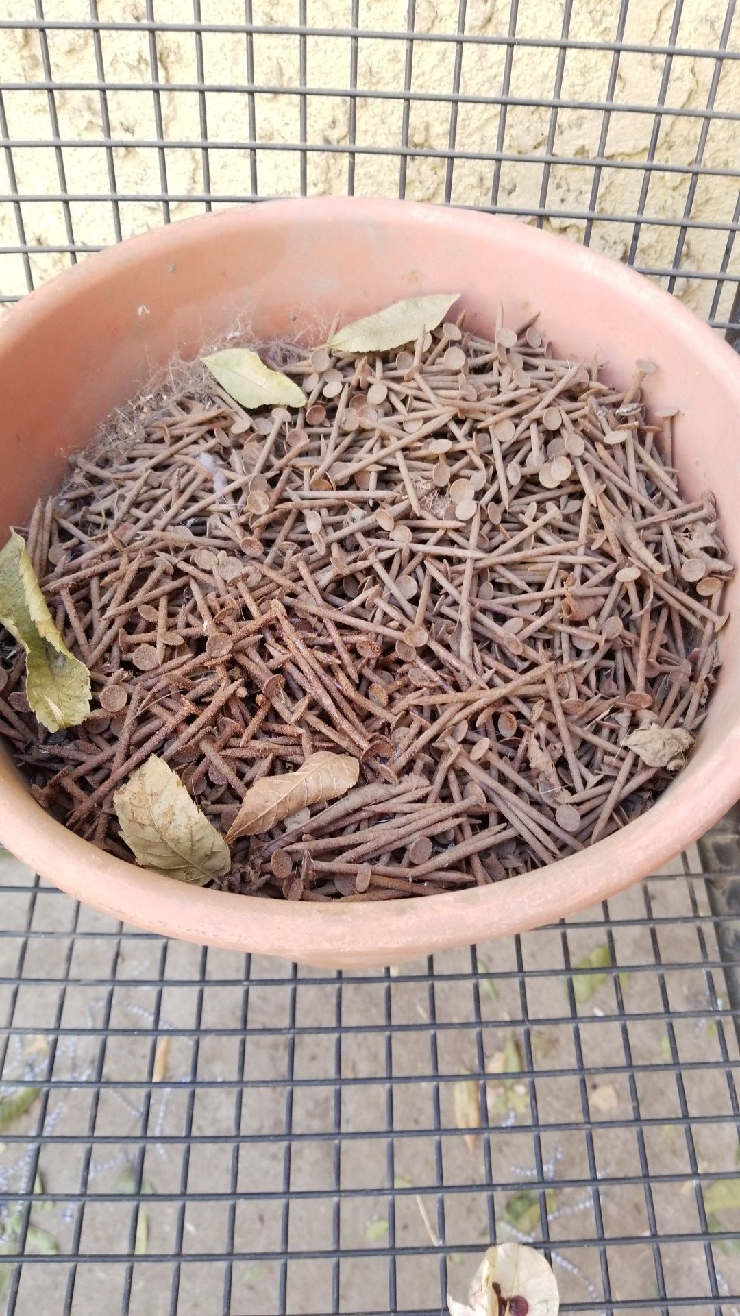 Flower pot of rusty nails free