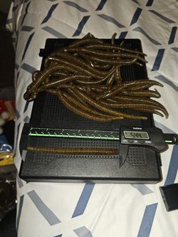 Fishing Bass Plastics Salted 6th Sense