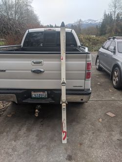 Dynastar 195 skis