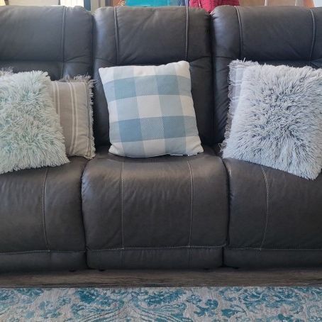 Gray Leather Couches