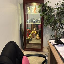 Curio Cabinet