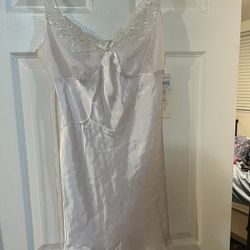 BNWT PINK NIGHTGOWN LINGERIE