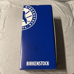 Brand new Boston Birkenstock 