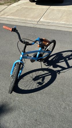 Young Kids, Totem, Blue Bike.