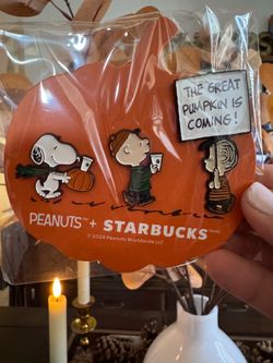 Starbucks Peanuts Pins