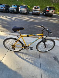 2 Mountain Bikes, 1 Men's & 1 Women's.