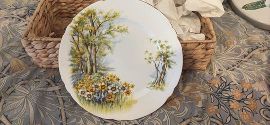 Shelley England Daffodil Time Salad Plate