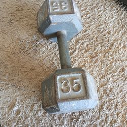Dumbbell 35 Lb