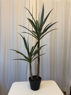 Faux World Market Yucca Plant