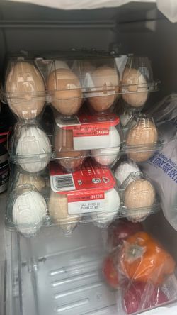 Fresh Eggs
