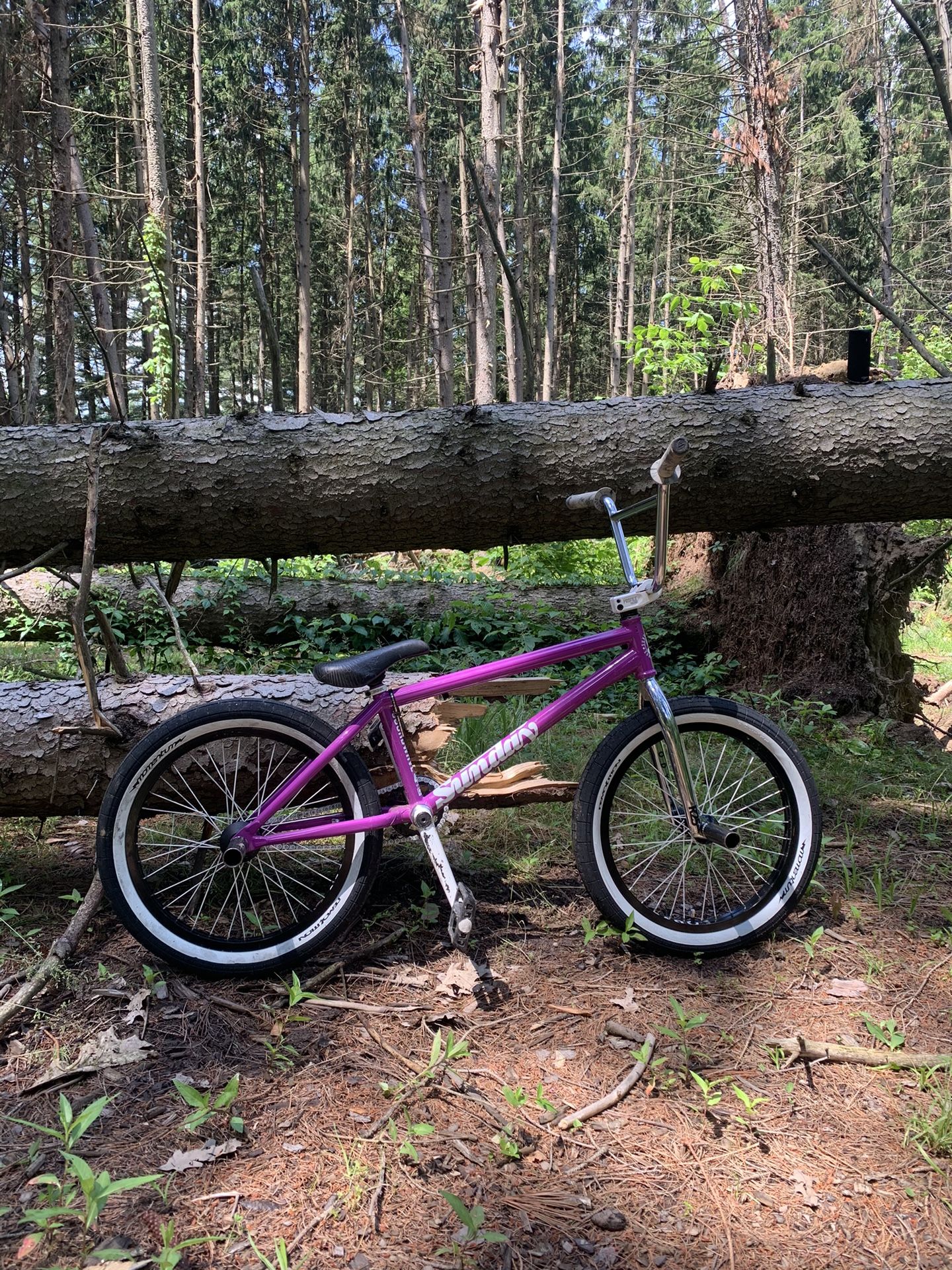 Bmx Bike