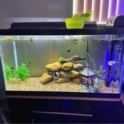 miss sort Complete Aquarium Kit – Explore an Underwater Wonderland