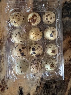 Organic Quail Eggs
