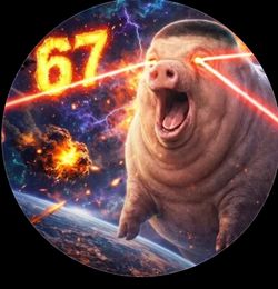 67 pig