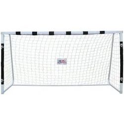 Double Fish Soccer Goal
