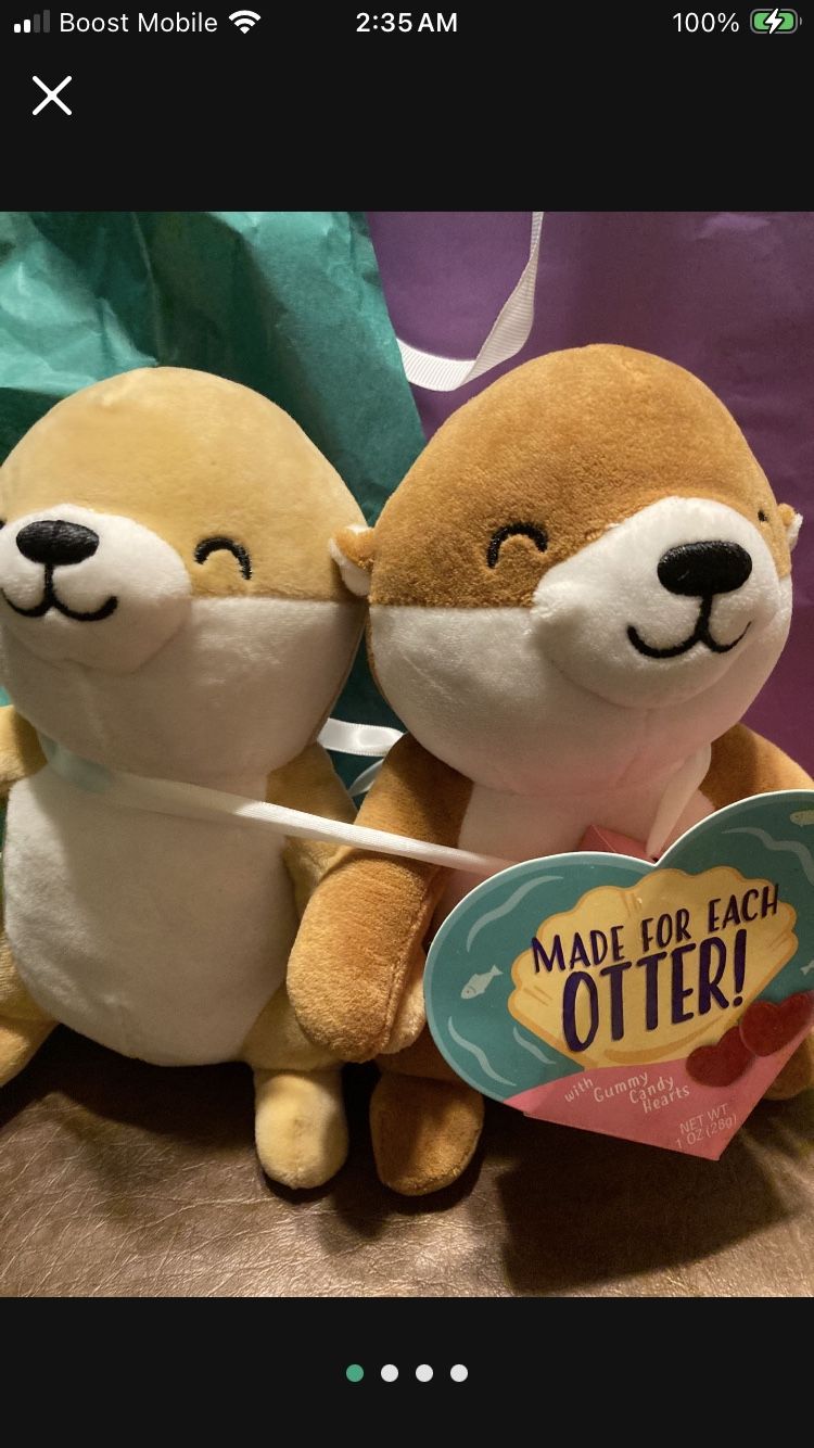 $25- Plush Twin Otter Gift