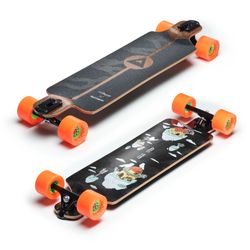 Loaded Pantheon Trip Collab Longboard