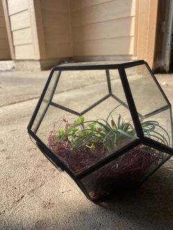 Terrarium with fake succulent plants