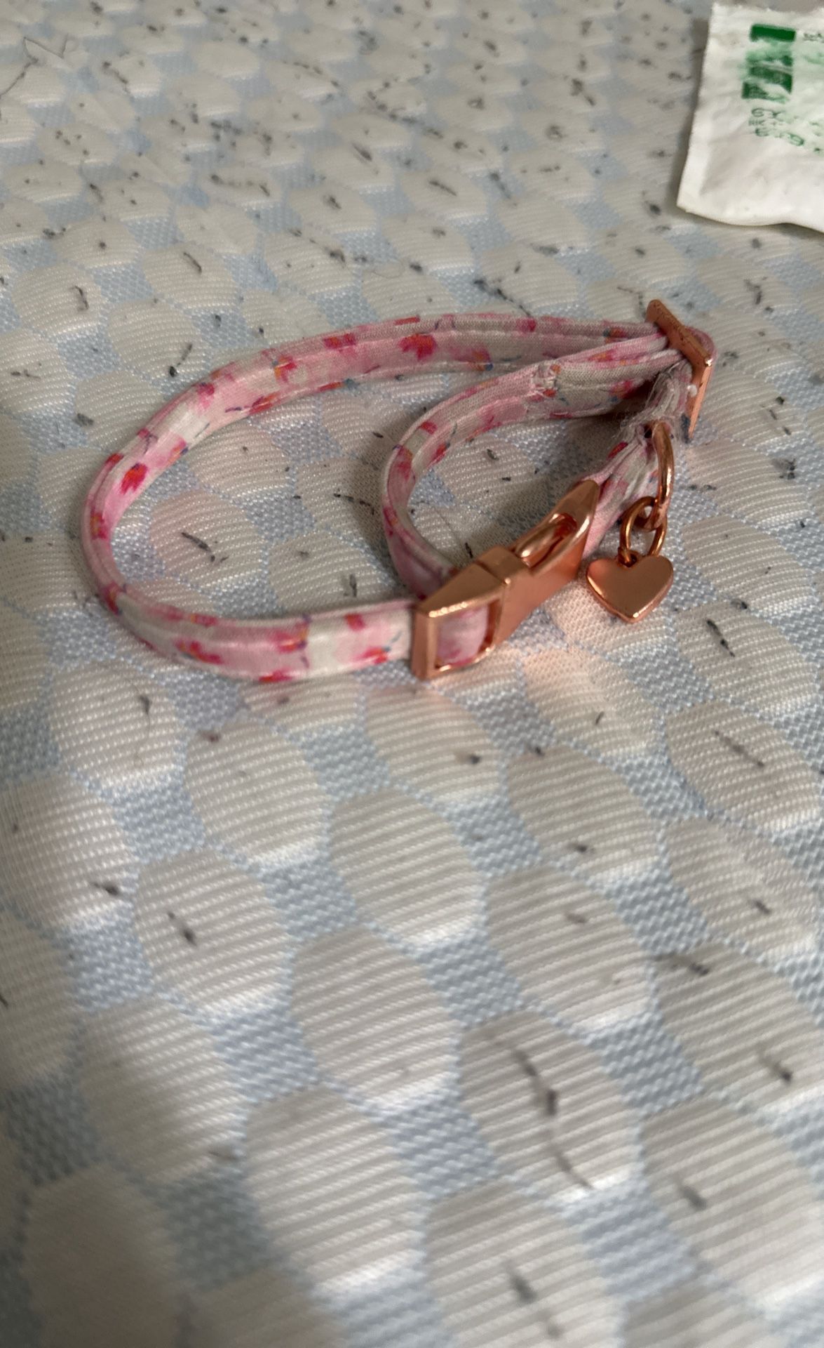Dog Collar
