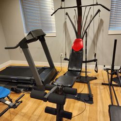 BOWFLEX EXERCISE WORK OUT UNIT