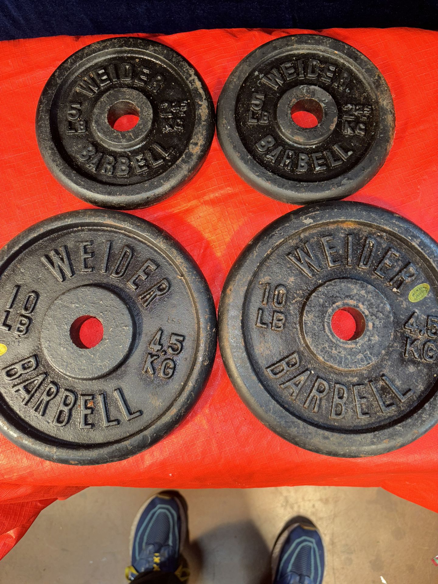 30 lbs of Steel Weight Plates 