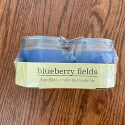 2 - 4 ounce blueberry field candles by candlelight