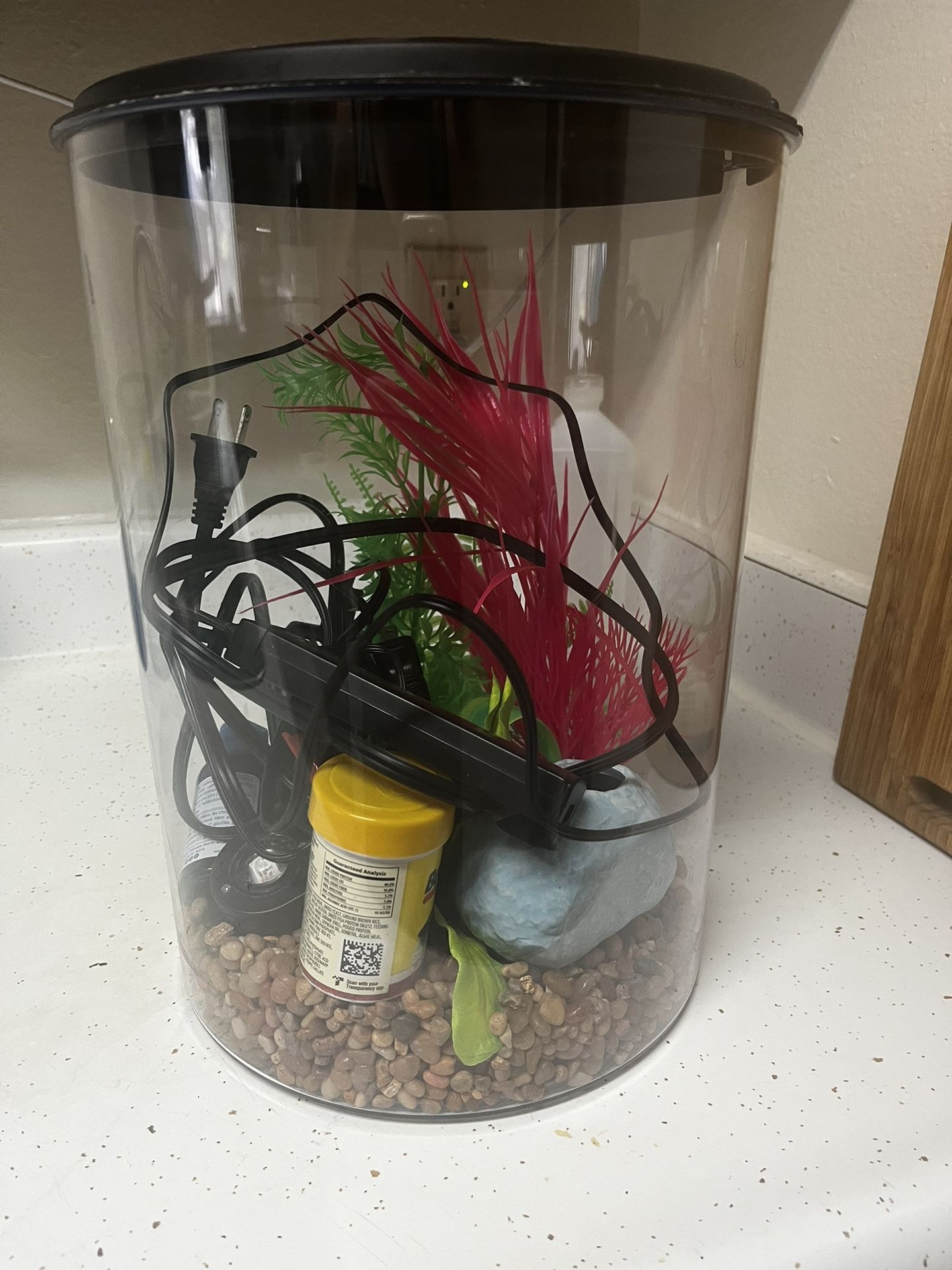 2 Three Gallon Fish Tanks $ 30For Both