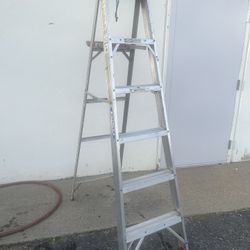 Werner Aluminum Ladder