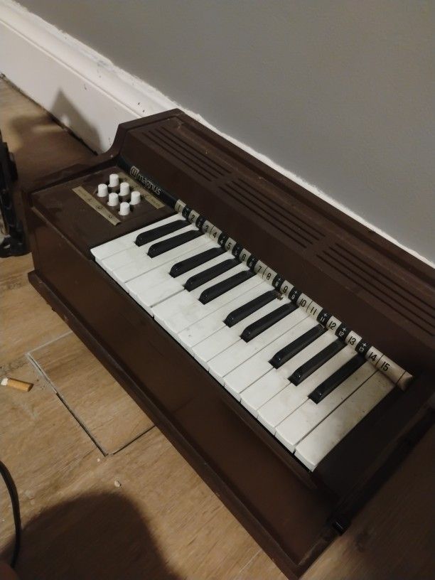 Magnus Electric Chord Mini Organ
