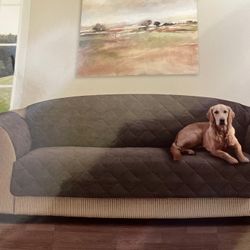 Sofa Cover Never Used