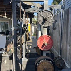 Squat Rack 