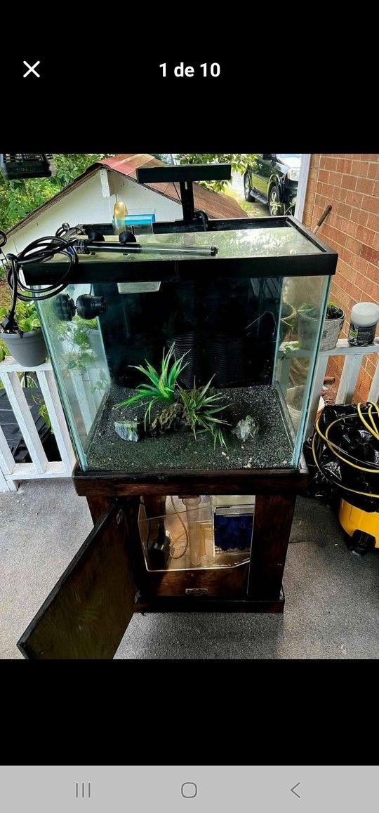 54 gallon fish tank and stand saltwater