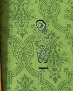 Pretty purse