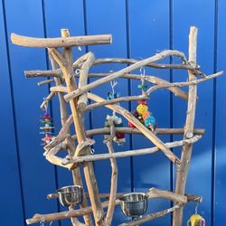 African Grey - Amazon Parrot Perch Tree - Custom Made, Breeder Direct, Wholesale Prices !!