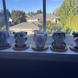 5 Cute Small Plant Holders