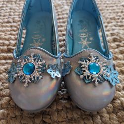 Frozen Elsa Shoes