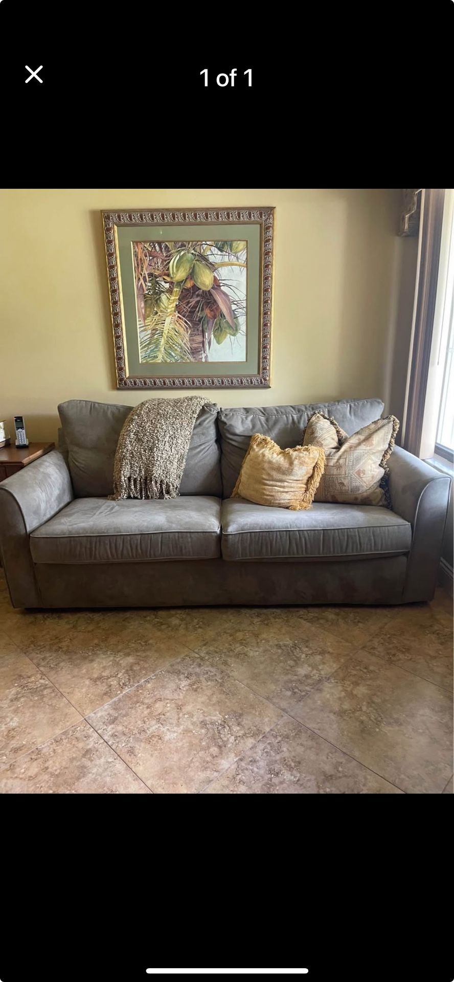Couch + Framed Picture